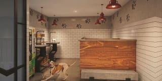 Zona Village Gallery 15