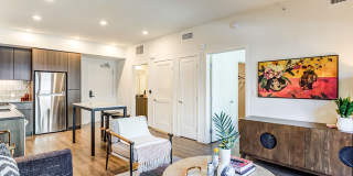 Webster Eleven Gallery 15