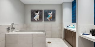 Avalon Fort Lauderdale Gallery 24