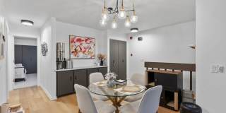 Honey Lane Gallery 7