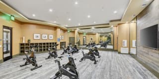 Altura Gallery 25