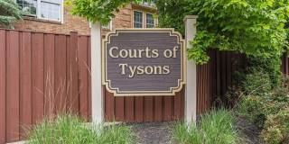 7921 TYSON OAKS Circle Gallery 54