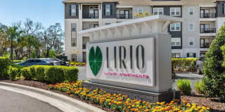 Lirio at Rafina Gallery 32