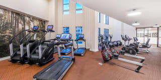 Aspect at Totem Lake Gallery 11