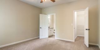 Angel Landing Gallery 12