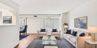 Wayzata Woods Gallery 1