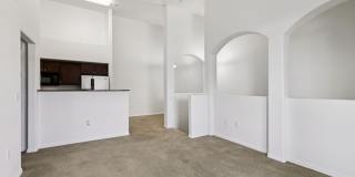 Altessa Gallery 55
