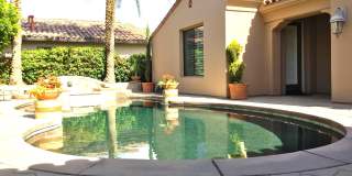 78870 Citrus Gallery 3