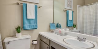 Towers at Forest Acres Gallery 7