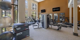 Gateway Chastain Gallery 41