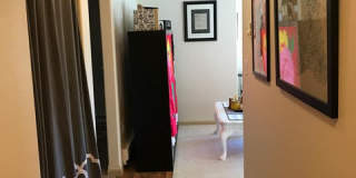 21 Orange Gallery 53