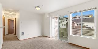 River View Collection Gallery 16