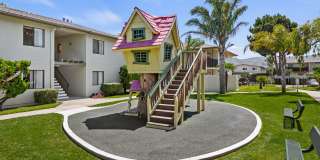 Bay Laurel Gallery 9