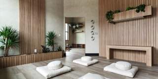 Welcome Canary Gallery 32