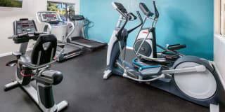 The Sycamores Apartments Gallery 13