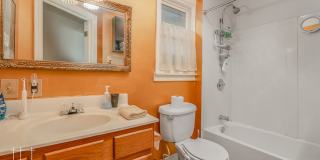 Available Now! Gallery 19