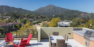 Bell Mt. Tam Gallery 20