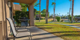 28984 Desert Princess Drive Gallery 11