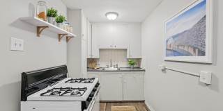 South Josephine Apartments Gallery 22