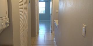 1020 Pinetree Drive Gallery 23