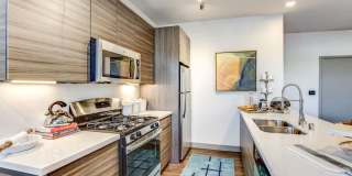 The Douglas at Stonelake Gallery 8