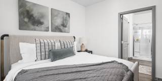 Standard441 Gallery 17