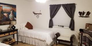 WINTER RENTAL 2026-2027 Gallery 22