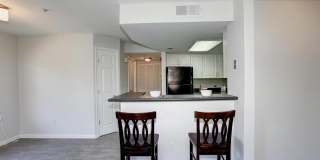921 HILLSIDE LAKE TER #304 Gallery 6