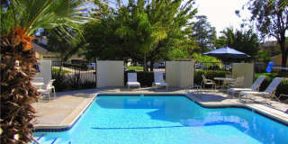 24335 Park Place Drive Gallery 70