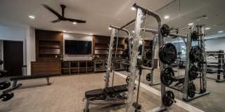 Muse at SoCo Gallery 33