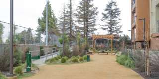 Latitude 37 Gallery 12