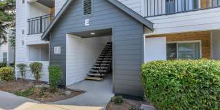 The Hazelwood Gallery 9