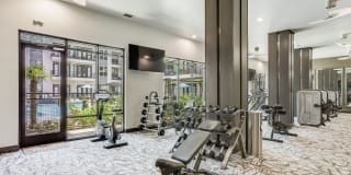 Windsor Cityline Gallery 23