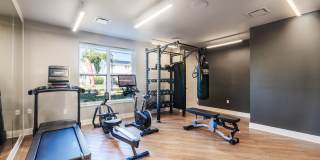 Hedges at Hawthorne Gallery 12