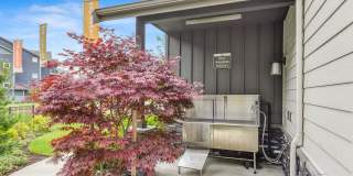 Avaya Trails Gallery 21
