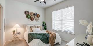 Windsor West Plano Gallery 18