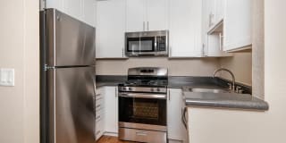 Lantern Cove Gallery 8