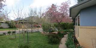 Grape Vines on Grape Ave: 3 bed/2 bath ranch in AMAZING location in Old North Boulder! Gallery 1