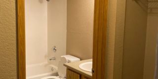 Westwood Apartments Gallery 240