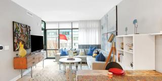 Insignia On M Gallery 51