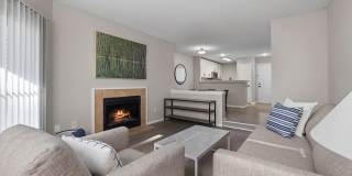 Hamilton Ridge Gallery 13