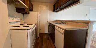 Robertson1001 (KC-JF-NB) Gallery 7