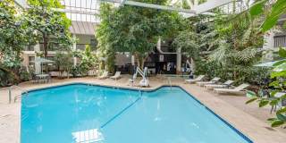 Alta Living Gallery 16