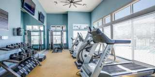 Palladium Aubrey Gallery 42