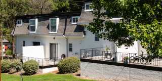 Hidden Colony Gallery 19