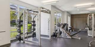 The Lotus at Starkey Ranch Gallery 4