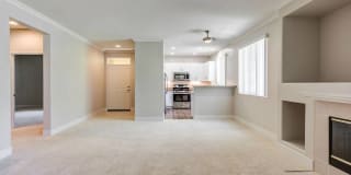 Sofi Westview Gallery 8