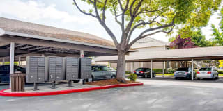 Sofi Berryessa Gallery 18