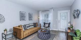 Atlantic Palms Gallery 11