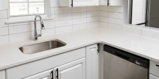 Hidden Colony Gallery 13